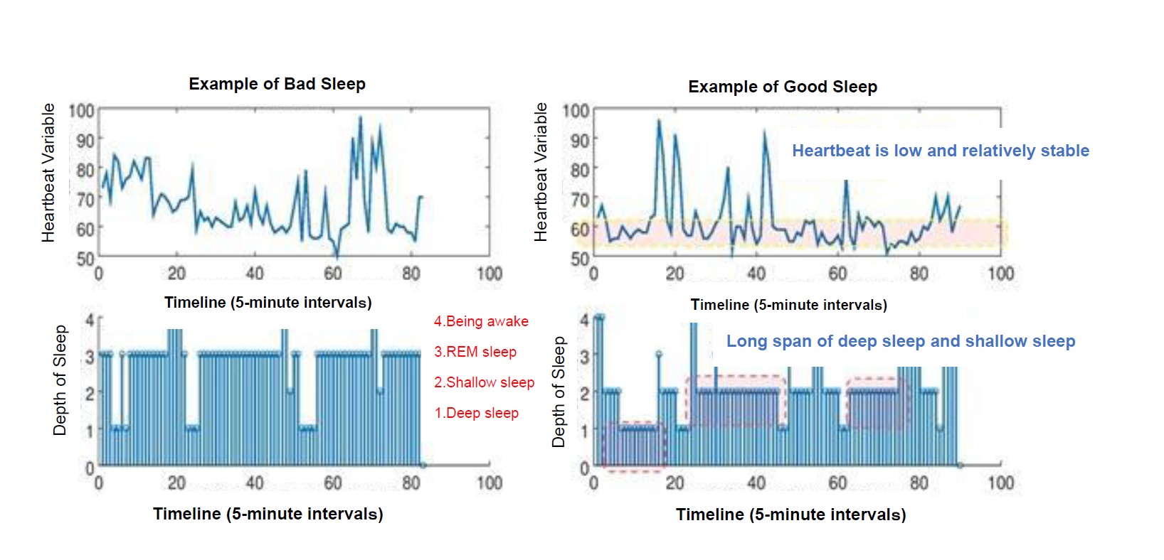 Photo of  Example data visualized via a self-built program using writer's heart rate and sleep stage data