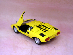 The 6th Installment For Sport and Play I Think that We are Born (images)