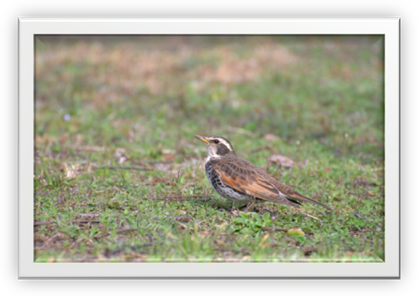 The 28th Installment “Recent Thoughts” (images)