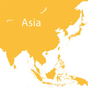 Response to Globalization (images)