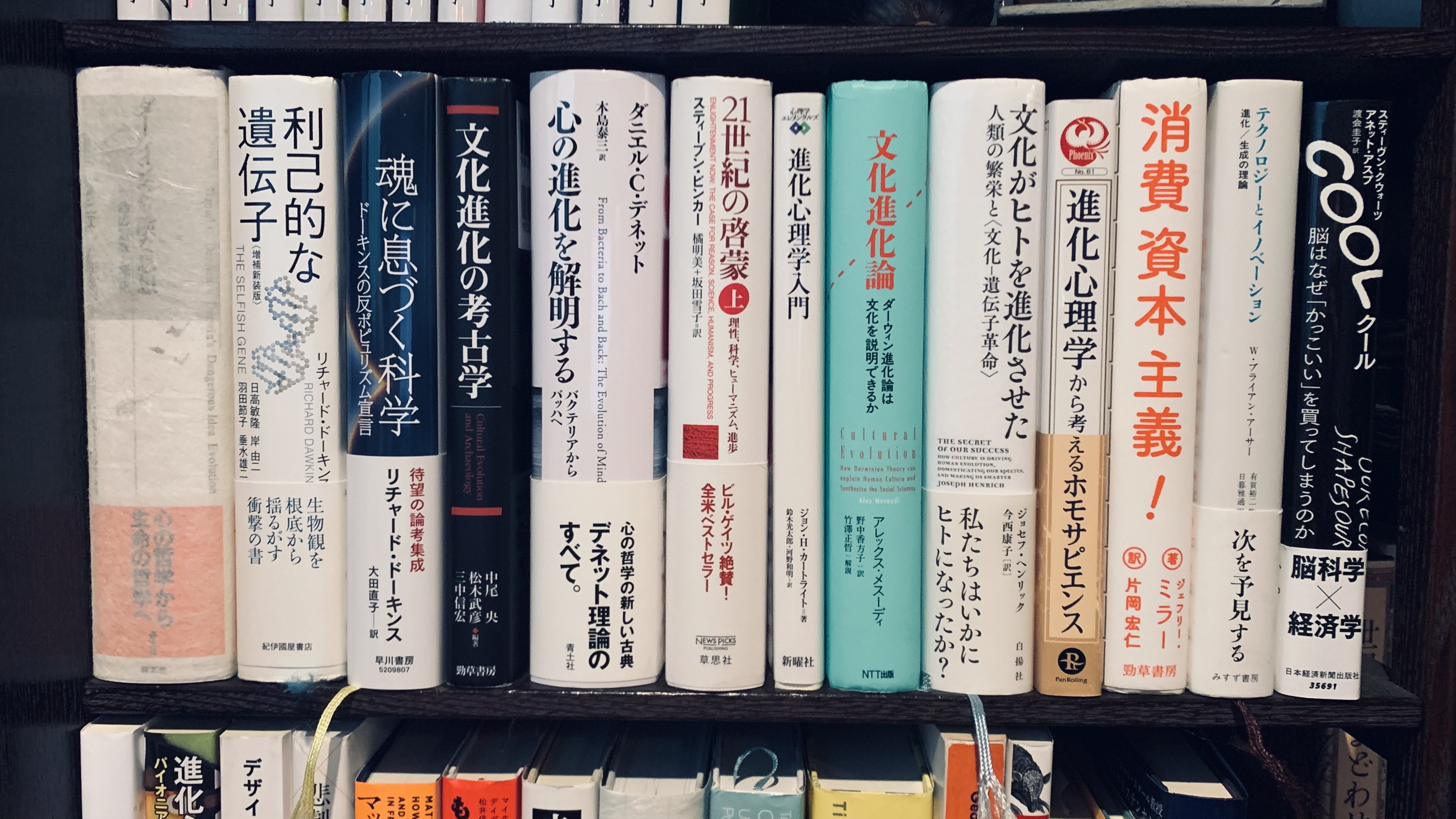 松井先生コラム