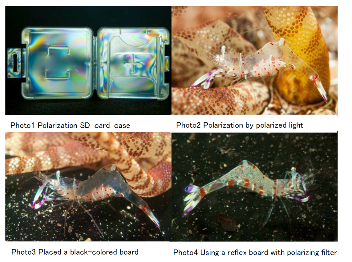 The picture of Fig.1～４